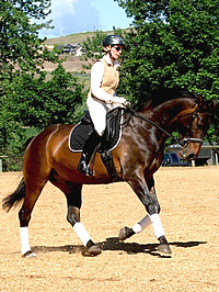Dressage Clinic with Henk Glijn 2008