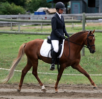 VDRC Dressage and Hack Show 2008