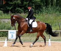 VDRC Dressage and Hack Show 2008