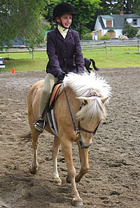 VDRC Hunter & Jumper Show 2008