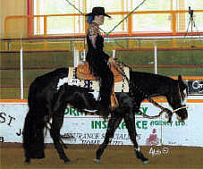 Colleen Hazeldine